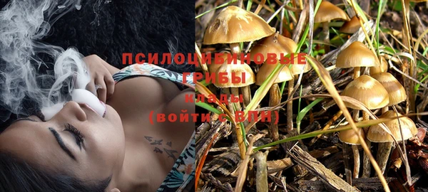 соль курить ск Ладушкин